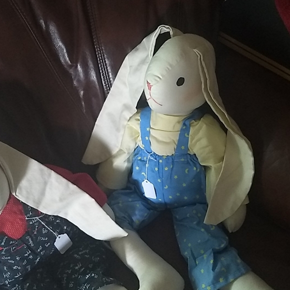 Bunny rabbit - Picture 2 of 6